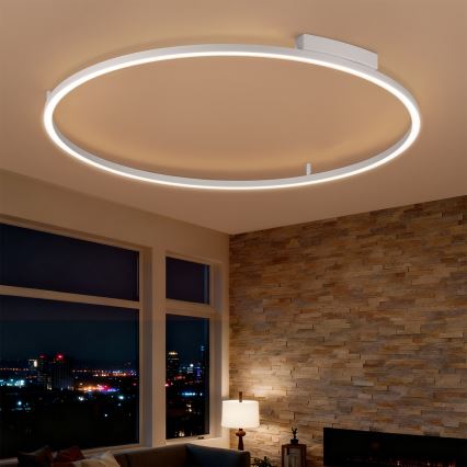Brilagi - PORTOFINO dimmbare LED-Deckenleuchte, 85 W, 230 V, 3000–6000 K, Ø 120 cm, silber + Fernbedienung