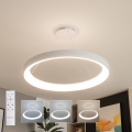 Brilagi - Dimmbare LED-Pendelleuchte an Kabel FALCON II LED/108W/230V 3000-6500K Ø 80 cm weiß + Fernbedienung