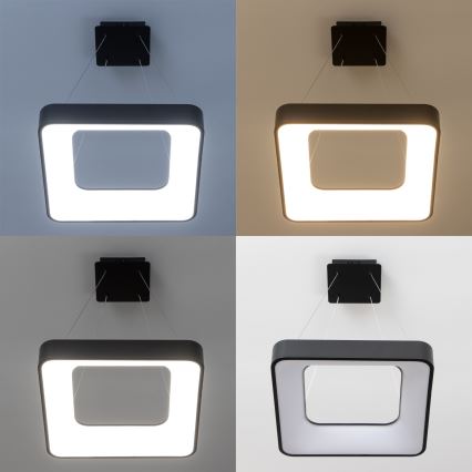 Brilagi - LED-dimmbare Pendelleuchte an Kabel FALCON II LED/80W/230V 3000-6500K 40x40 cm schwarz + Fernbedienung