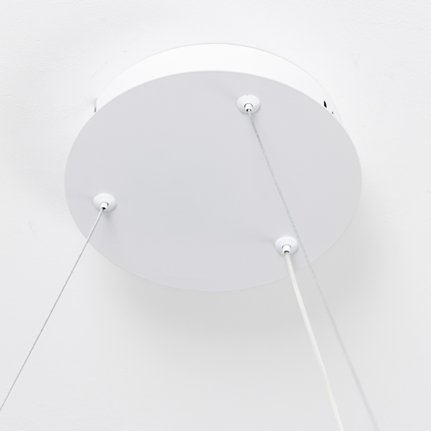 Brilagi - LED-dimmbare Pendelleuchte mit Kabelabhängung FALCON SLIM LED/42W/230V 3000-6500K pr. 50 cm weiß + Fernbedienung