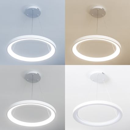 Brilagi - LED-dimmbare Pendelleuchte mit Kabelabhängung FALCON SLIM LED/42W/230V 3000-6500K pr. 50 cm weiß + Fernbedienung