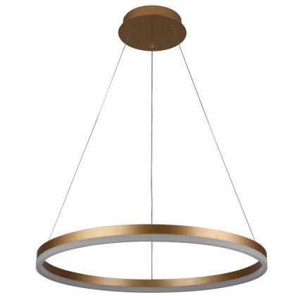 Brilagi - Dimmbare LED-Hängeleuchte mit Seilaufhängung CIRCLE LED/42W/230V 3000-6500K Ø 60 cm + Fernbedienung
