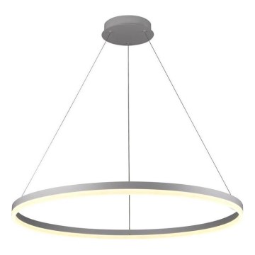 Brilagi - dimmbare LED-Seilpendelleuchte CIRCLE LED/55W/230V 3000–6500K Ø 80 cm silber + Fernbedienung