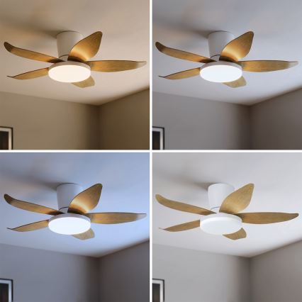 Brilagi - Dimmbarer LED-Deckenventilator LED/32W/230V 3000-6500K Ø 95 cm weiß/braun + Fernbedienung
