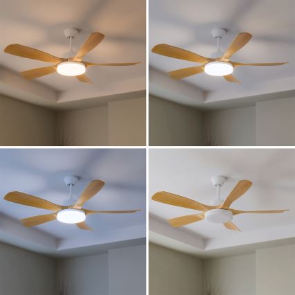 Brilagi - LED-dimmbarer Deckenventilator, 34 W/230 V, 3000–6500 K, Ø 132 cm, weiß/braun + Fernbedienung