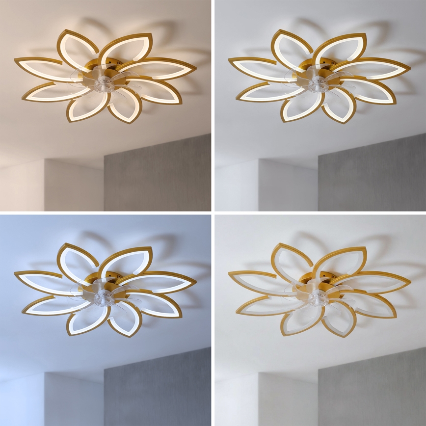 Brilagi - LED-dimmbarer Deckenventilator LED/43W/230V 3000-6500K Durchmesser 90 cm goldfarben + Fernbedienung