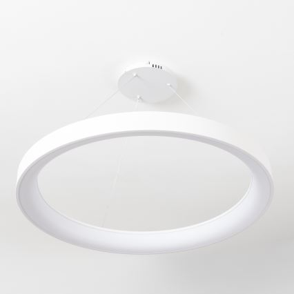 Brilagi - Dimmbare LED-Pendelleuchte an Kabel FALCON II LED/108W/230V 3000-6500K Ø 80 cm weiß + Fernbedienung