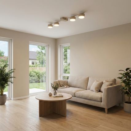 Brilagi - Einbaustrahler 4xGX53/12W/230V beige