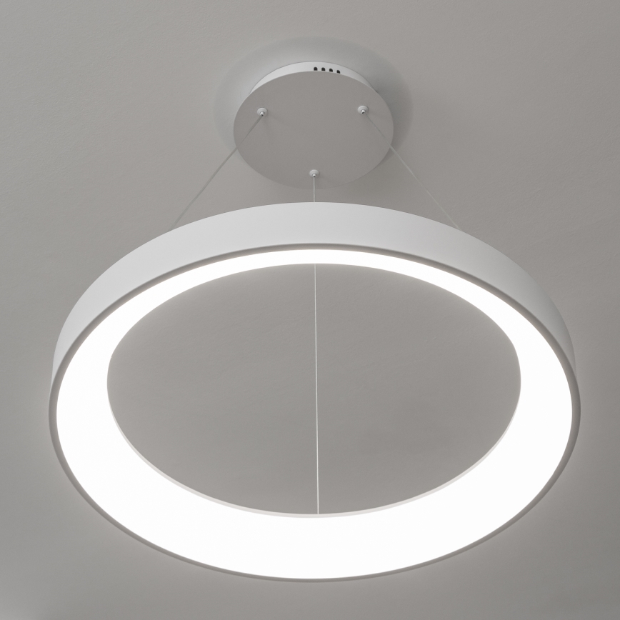Brilagi - FALCON II LED-dimmbare Pendelleuchte mit Seilabhängung LED/99W/230V 3000-6500K Ø 60 cm weiß + Fernbedienung