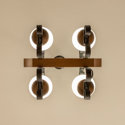 Brilagi - Kronleuchter an Kette QUEEN 4xE14/40W/230V Buche/Walnuss