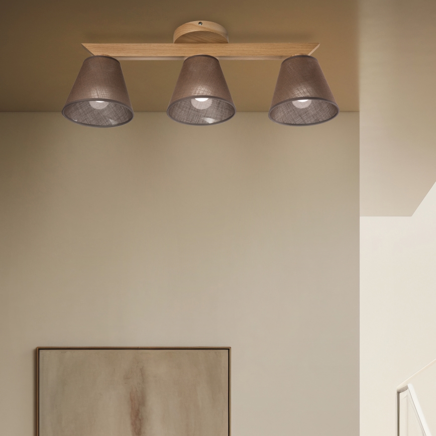 Brilagi - LED  Anbauleuchte ANTHONY 3xE14/40W/230V Eiche/braun