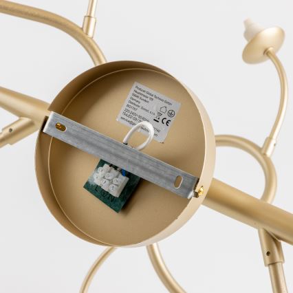 Brilagi - LED-Anbauleuchte MISTEL 15xG9/3W/230V golden