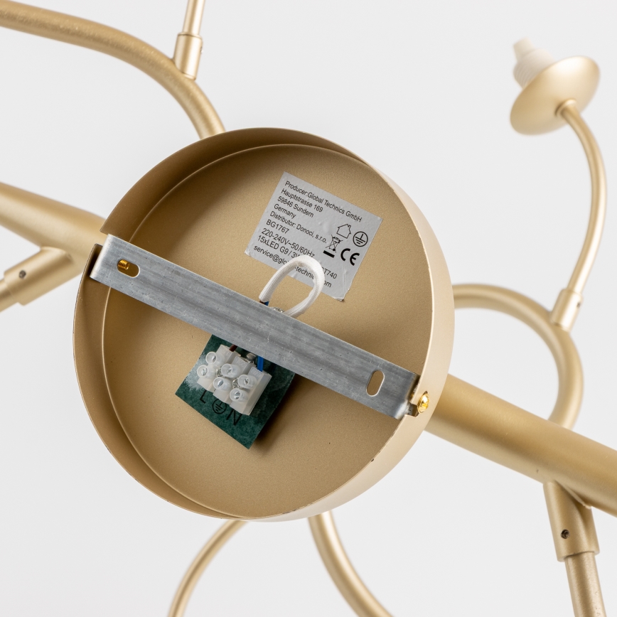 Brilagi - LED-Anbauleuchte MISTEL 15xG9/3W/230V golden