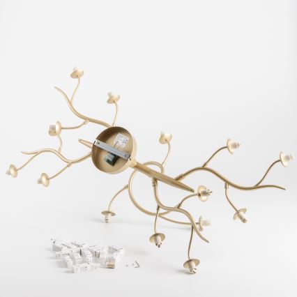 Brilagi - LED-Anbauleuchte MISTEL 15xG9/3W/230V golden/weiß