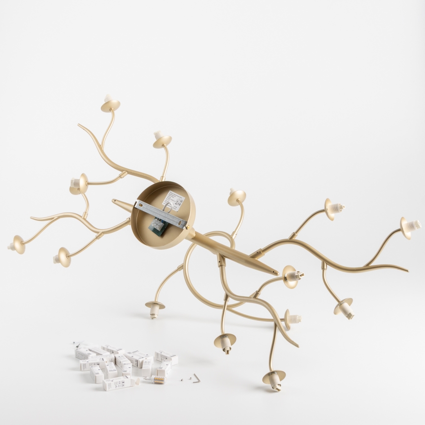 Brilagi - LED-Anbauleuchte MISTEL 15xG9/3W/230V golden/weiß