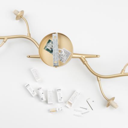 Brilagi - LED-Anbauleuchte MISTEL 6xG9/3W/230V golden