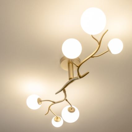 Brilagi - LED-Anbauleuchte MISTEL 6xG9/3W/230V golden/weiß