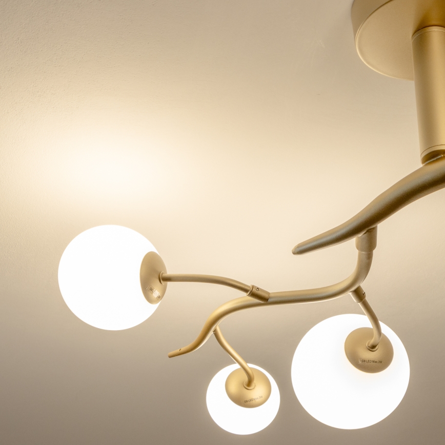 Brilagi - LED-Anbauleuchte MISTEL 6xG9/3W/230V golden/weiß