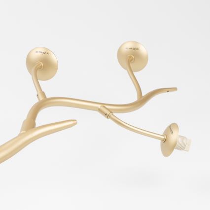 Brilagi - LED-Anbauleuchte MISTEL 6xG9/3W/230V golden/weiß