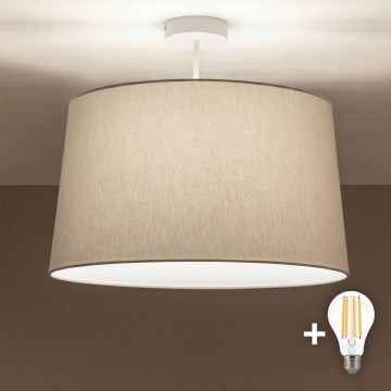 Brilagi - LED-Aufbau-Deckenleuchte CERIA 1xE27/60W/230V Ø 45 cm weiß/grau