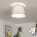 Brilagi - LED-Aufbauleuchte CERIA 1xE27/40W/230V Ø 30 cm grau