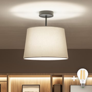 Brilagi - LED-Aufbauleuchte CERIA 1xE27/60W/230V Ø 30 cm schwarz/grau