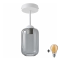 BRILAGI - LED Aufgesetzte Deckenleuchte RETRO GLASS 1xE27/60W/230V Ø 14 cm weiß/rauchgrau