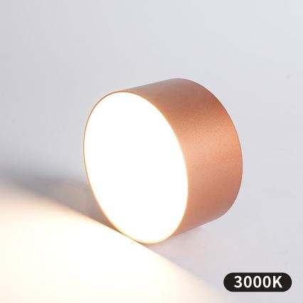 BRILAGI - LED Außen-Deckenleuchte FORIS LED/14W/230V Ø 12 cm bronzefarben IP44