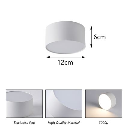 BRILAGI - LED Außen-Deckenleuchte FORIS LED/14W/230V Ø 12 cm weiß IP44