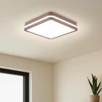 Brilagi - LED-Außen-Deckenleuchte mit Sensor BENE LED/24W/230V 26x26 cm braun IP54