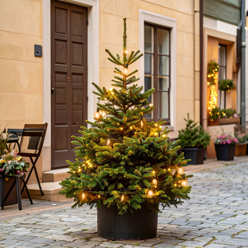 Brilagi - LED-Außen-Lichterkette 10xLED/3xAA 3,2 m IP44 warmweiß