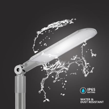 Brilagi - LED-Außen-Straßenleuchte URBANLIGHT LED/250W/230V grau IP65