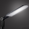 Brilagi - LED-Außen-Straßenleuchte URBANLIGHT LED/250W/230V schwarz IP65