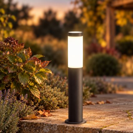 BRILAGI - LED Außenleuchte ELIA 1xE27/7W/230V 4000K IP44 50 cm anthrazit