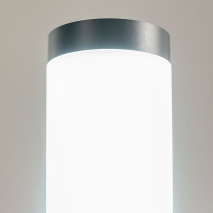 BRILAGI - LED-Außenlampe ELIA mit Steckdose 1xE27/7W/230V 4000K IP44 50 cm Anthrazit