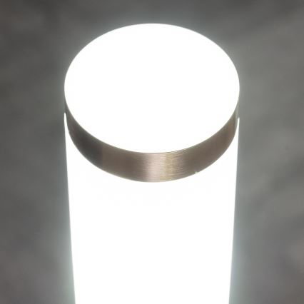 BRILAGI - LED-Außenleuchte mit Steckdose ELIA 1xE27/7W/230V 4000K IP44 50 cm matt verchromt