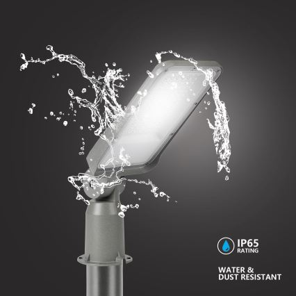 Brilagi - LED-Außenstraßenleuchte mit 3 m Mast und Schwenkarm URBANLIGHT LED/50W/230V grau IP65