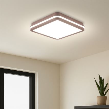 Brilagi - LED-Außen-Deckenleuchte mit Sensor BENE LED/24W/230V 26x26 cm braun IP54