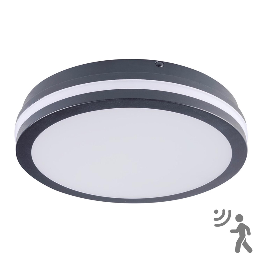 Brilagi - LED-Außenleuchte mit Sensor BENE LED/24W/230V Ø 26 cm anthrazit IP54