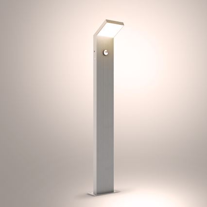 Brilagi - LED-Außenleuchte mit Sensor RIANO LED/8W/230V silber IP65