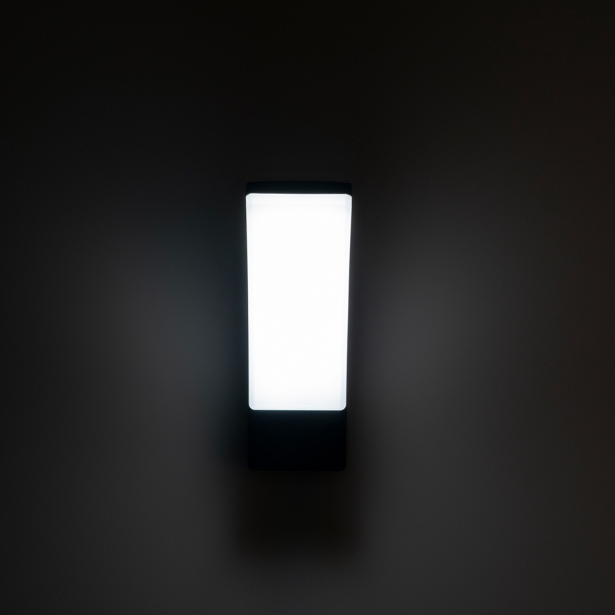 BRILAGI - LED Außenwandleuchte ARCELO LED/12W/230V IP65 schwarz