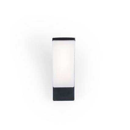 BRILAGI - LED Außenwandleuchte ARCELO LED/12W/230V IP65 schwarz