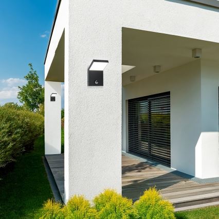 Brilagi - LED-Außenwandleuchte mit Sensor RIANO LED/8W/230V anthrazit IP65