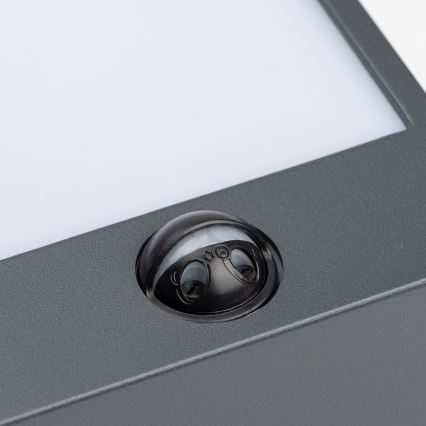 Brilagi - LED Außenwandleuchte mit Sensor TERNI LED/12W/230V Anthrazit IP44