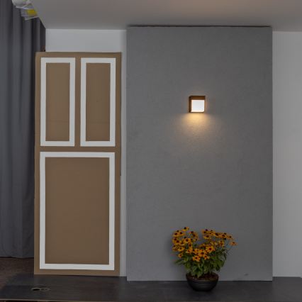 BRILAGI - LED-Außenwandleuchte TERNI LED/12W/230V braun IP44