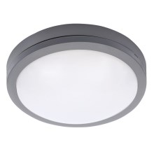 Brilagi - LED Auβen-Deckenleuchte LED/20W/230V IP54