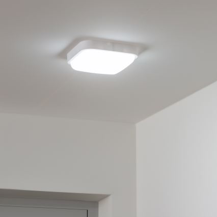 Brilagi - LED Auβen-Wandbeleuchtung LED/20W/230V IP54
