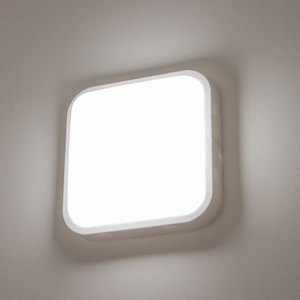 Brilagi - LED Auβen-Wandbeleuchtung LED/20W/230V IP54