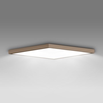 Brilagi - LED-Badezimmer-Deckenleuchte FRAME LED/50W/230V 60x60 cm IP44 beige