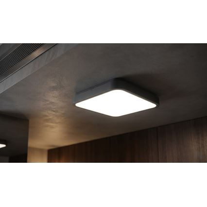 BRILAGI - LED-Deckenleuchte für Badezimmer mit Sensor ZENNA LED/24W/230V 34,5x34,5 cm IP44 anthrazit + Fernbedienung